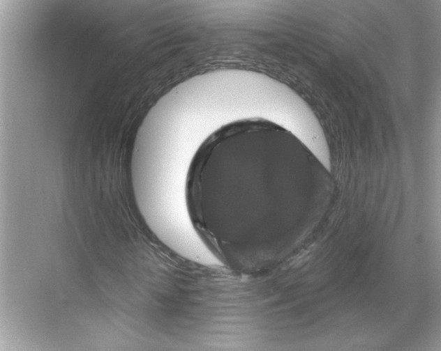 X0000067880818200605041831