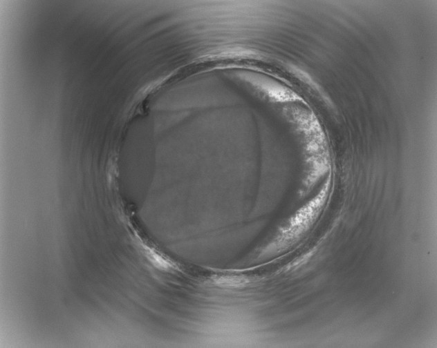 X0000067880825200605041831