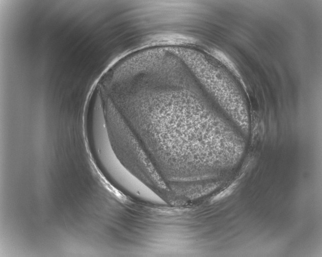 X0000067880843200605041832