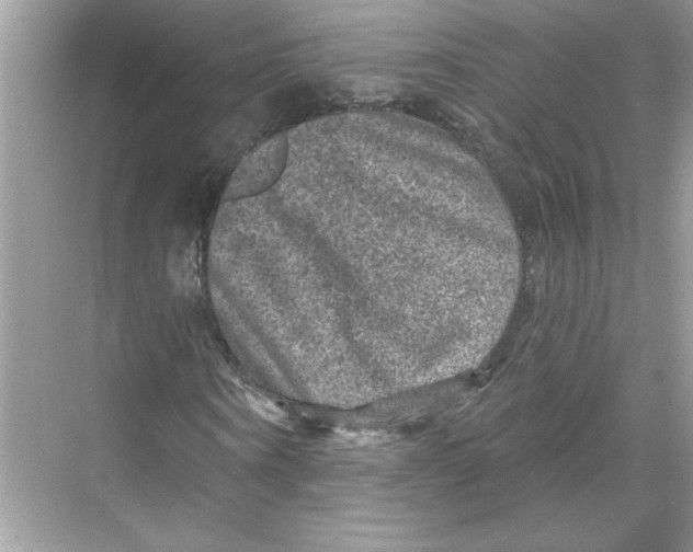 X0000067880866200605041831
