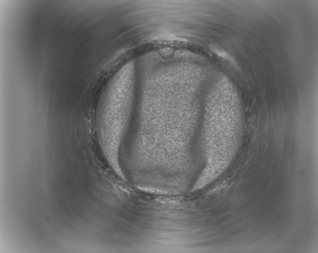 X0000067880870200605041831