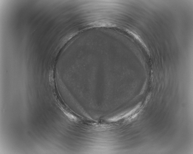 X0000067880881200605041831