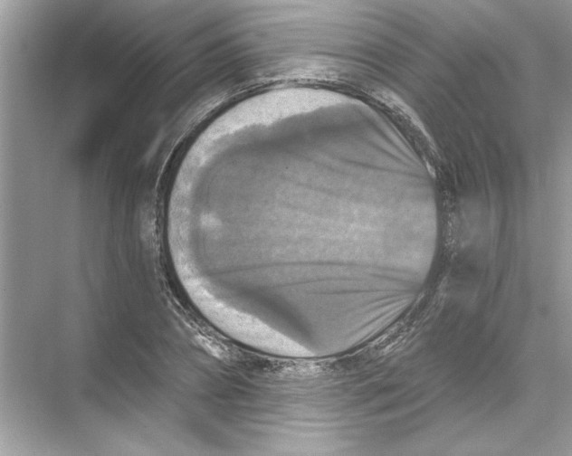 X0000067880882200605041831
