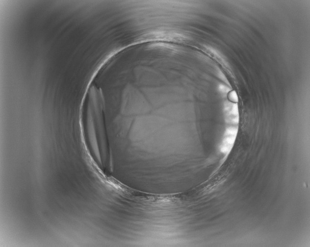 X0000067880899200605041831