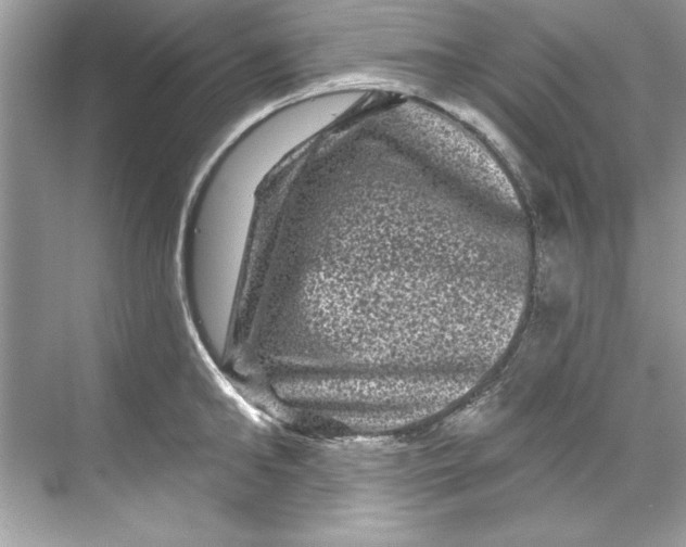 X0000067880902200605041831