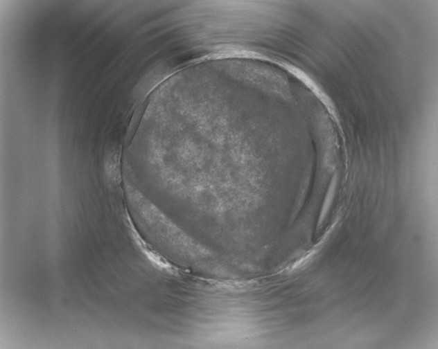 X0000067880905200605041831