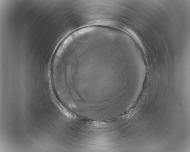 X0000067880907200605041831