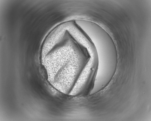X0000067880912200605041830