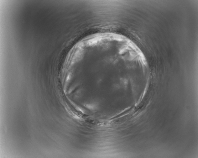 X0000067880913200605041830