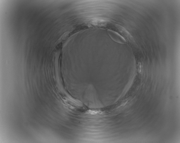X0000067880915200605041830