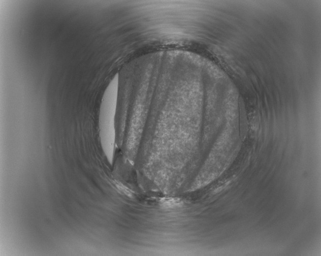 X0000067880916200605041830