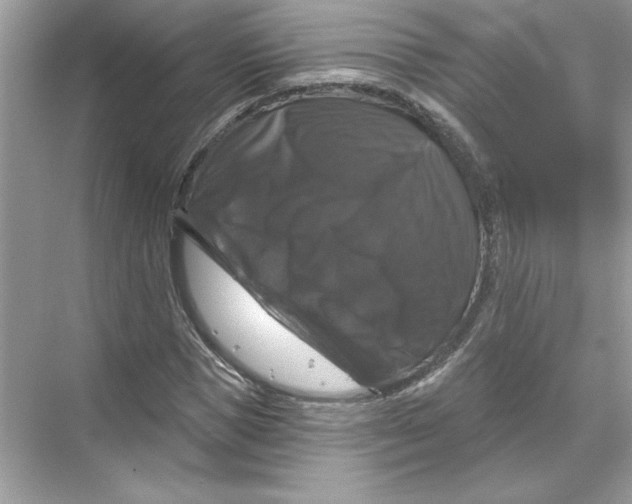 X0000067880921200605041830