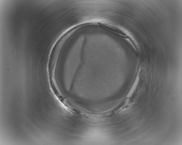 X0000067880959200605041830