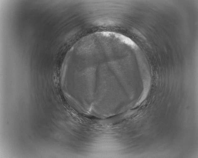 X0000067880966200605041830