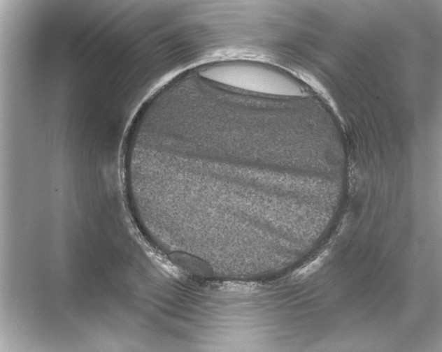 X0000067880981200605041829