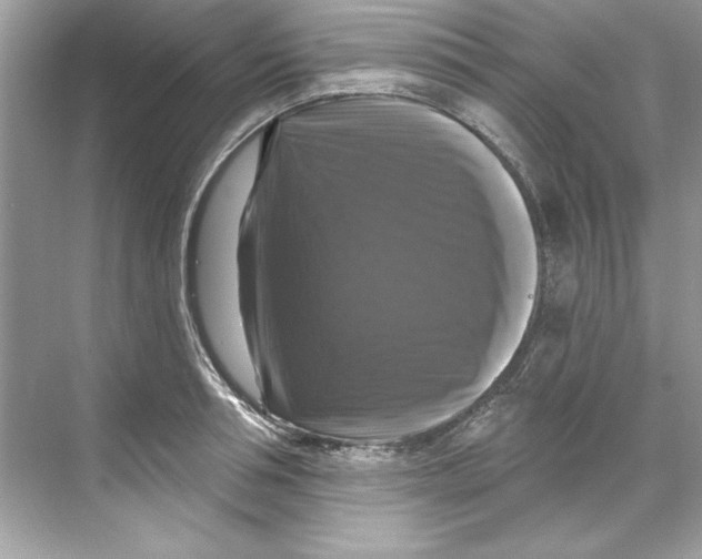X0000067880994200605041829