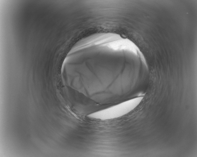 X0000067881009200605041828