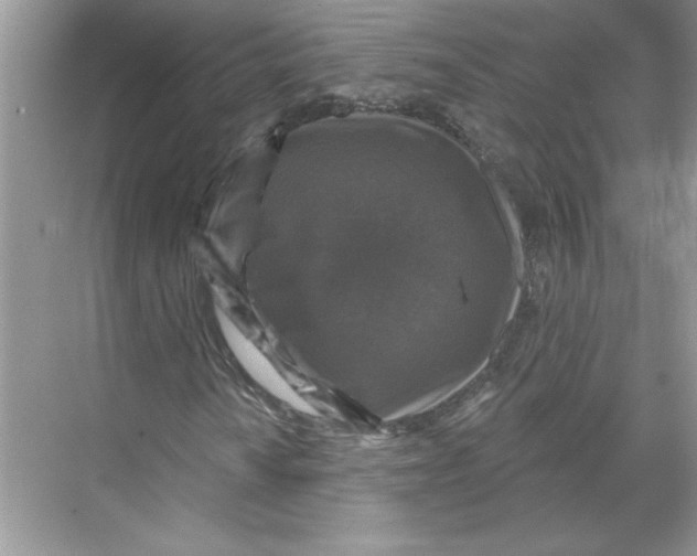 X0000067881010200605041828