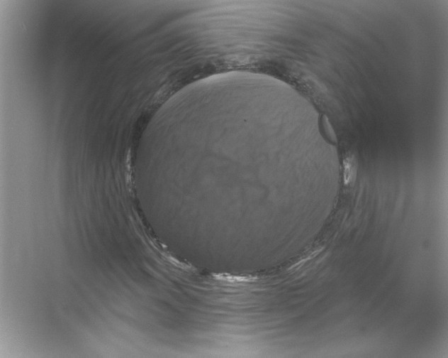 X0000067881011200605041828