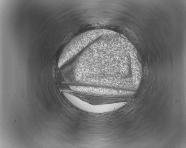 X0000067881012200605041828
