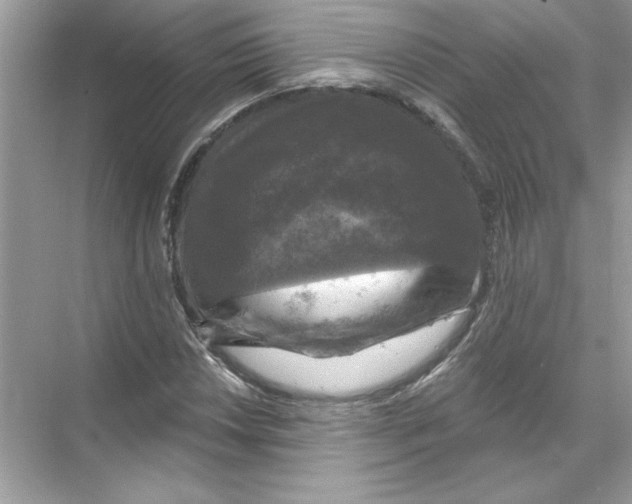 X0000067881018200605041828