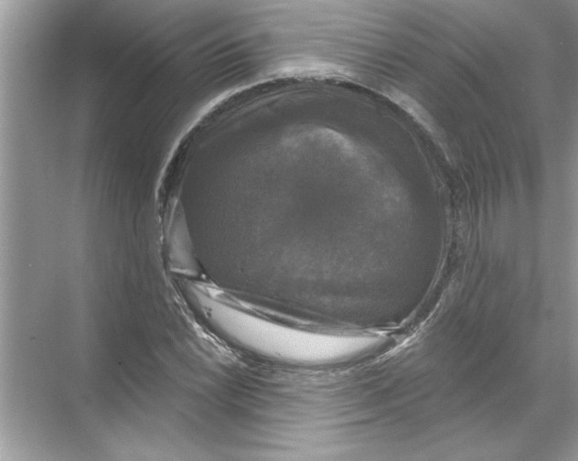 X0000067881022200605041828