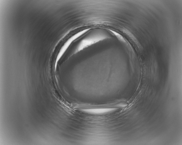 X0000067881023200605041828