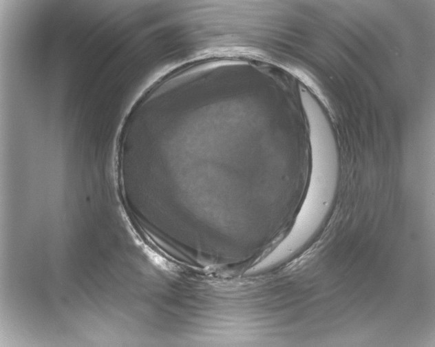 X0000067881046200605041829