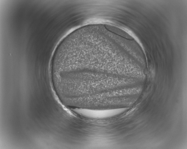 X0000067881053200605041829
