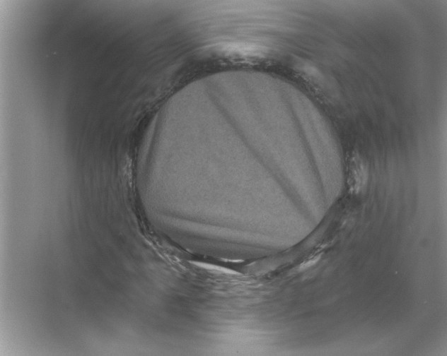 X0000067881061200605041828