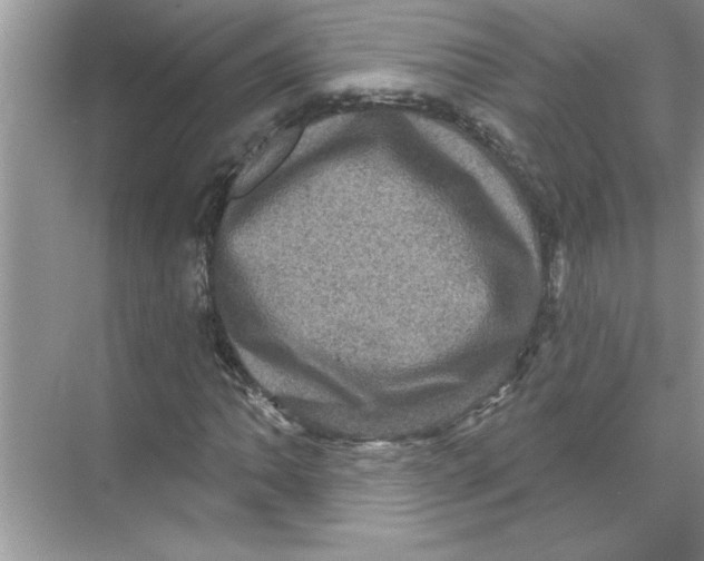 X0000067881062200605041828