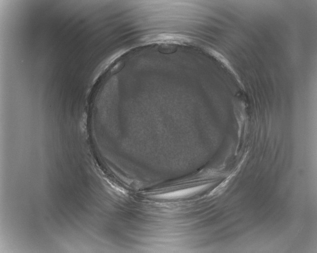 X0000067881066200605041828