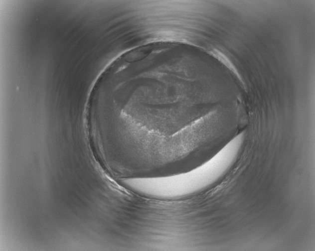 X0000067881068200605041828