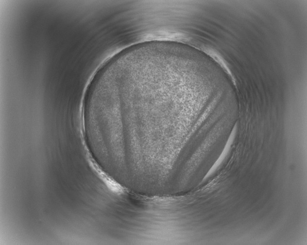 X0000067881080200605041828