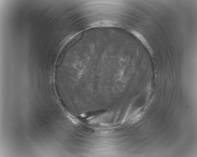 X0000067881081200605041828
