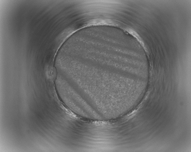 X0000067881089200605041827