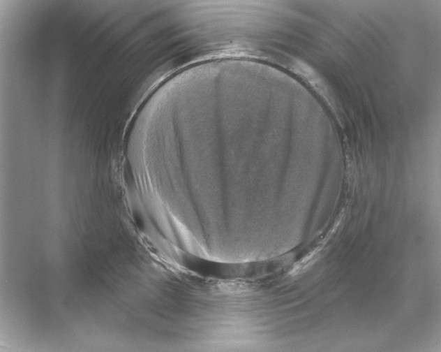 X0000067881097200605041827