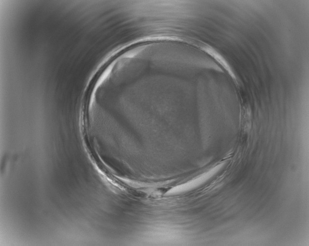 X0000067881101200605041827