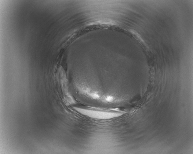 X0000067881110200605041826