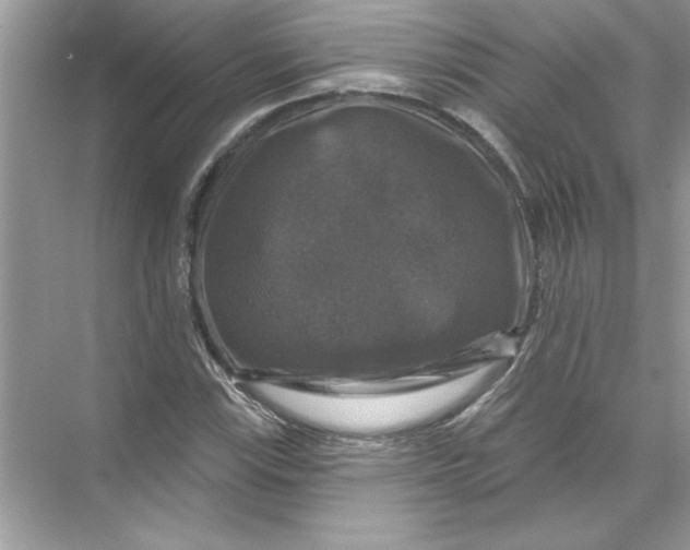 X0000067881115200605041827