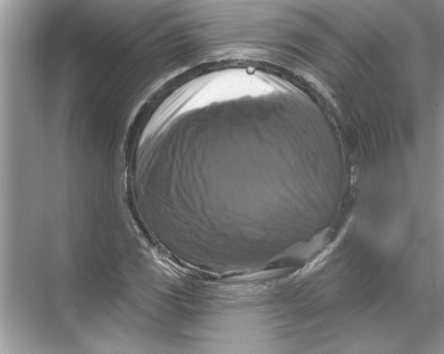 X0000067881117200605041827