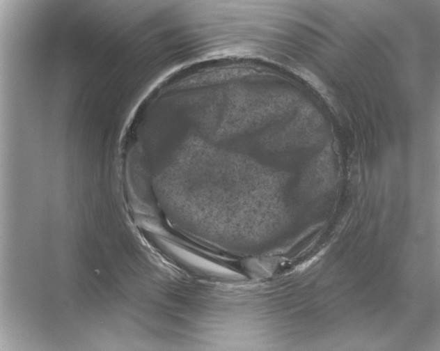 X0000067881118200605041827