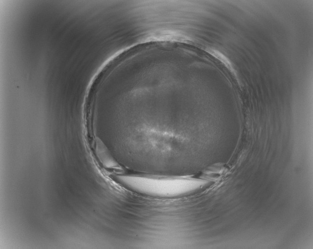 X0000067881120200605041827