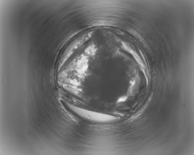 X0000067881121200605041827