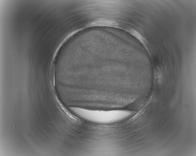 X0000067881123200605041827
