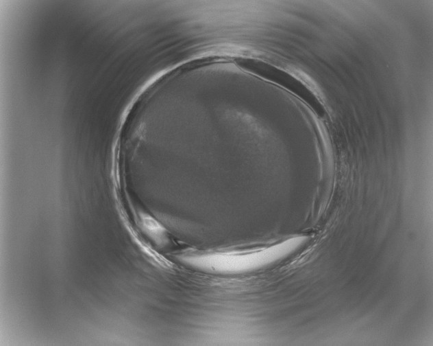 X0000067881128200605041827