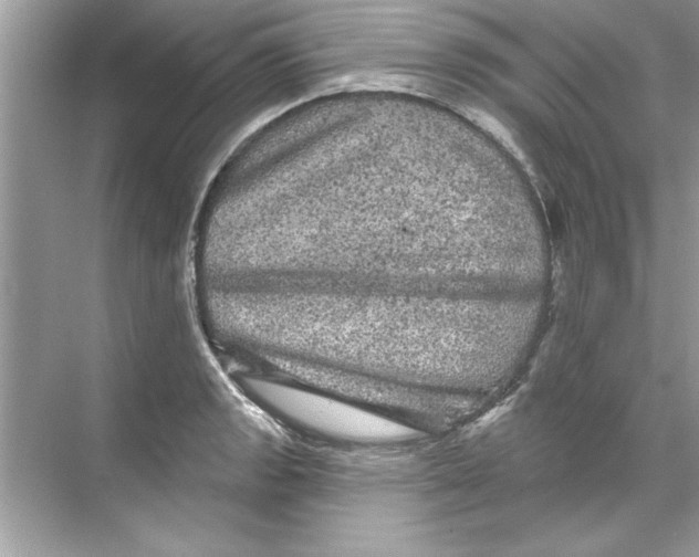 X0000067881133200605041827