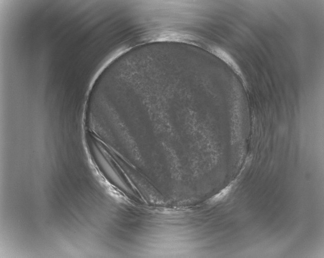 X0000067881138200605041827