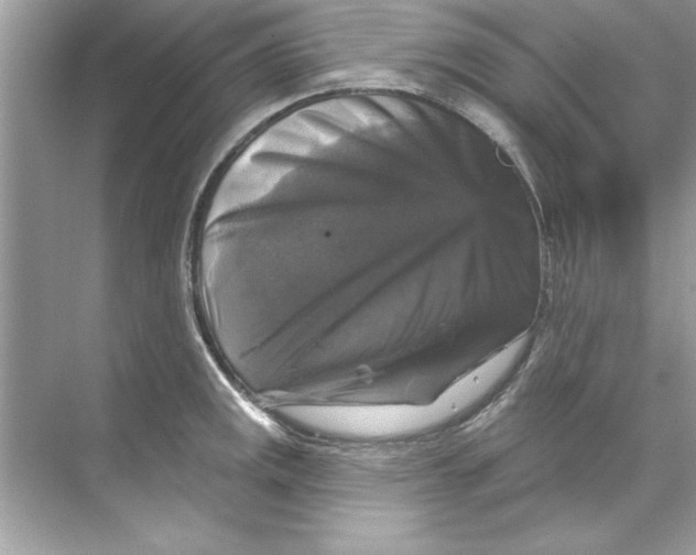 X0000067881141200605041827