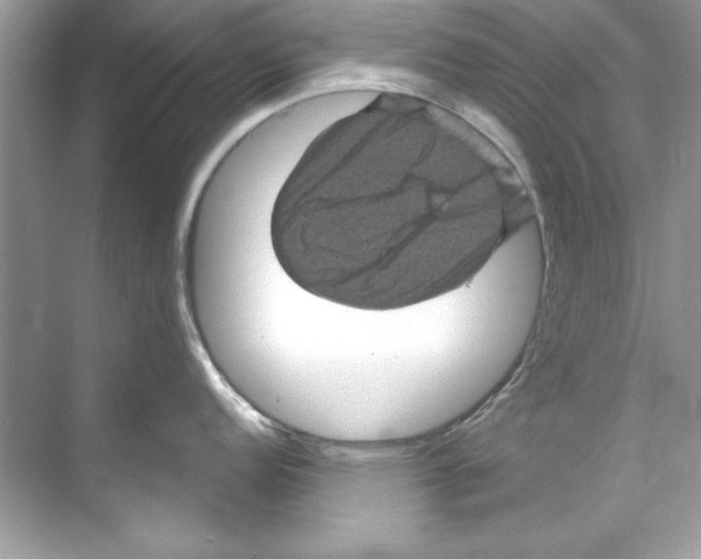 X0000067881152200605041827